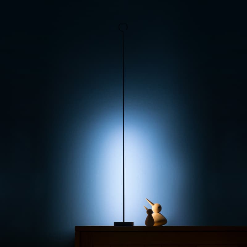 ANIMA - Image 1