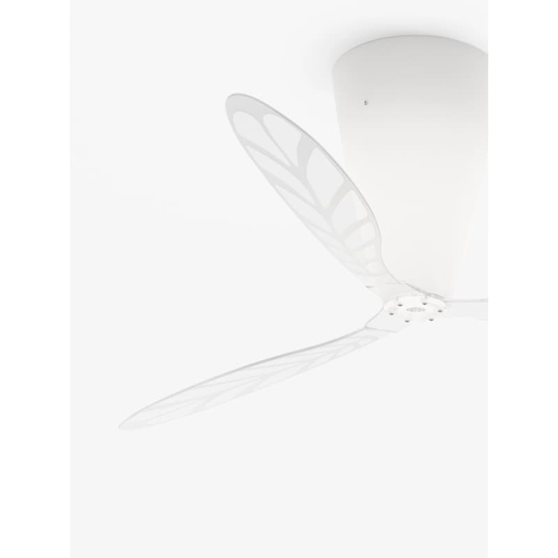 Ceiling Fans