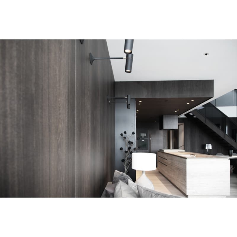 Wall Mount