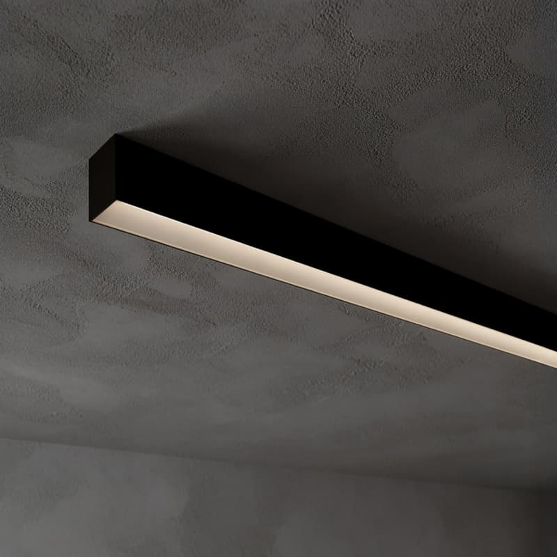 C2 Surface