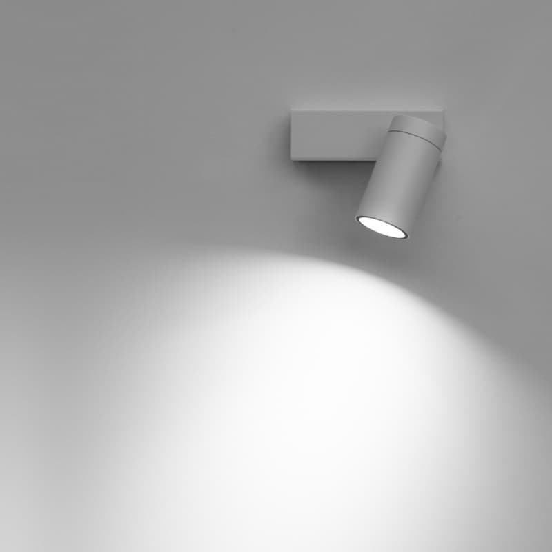 DOT P