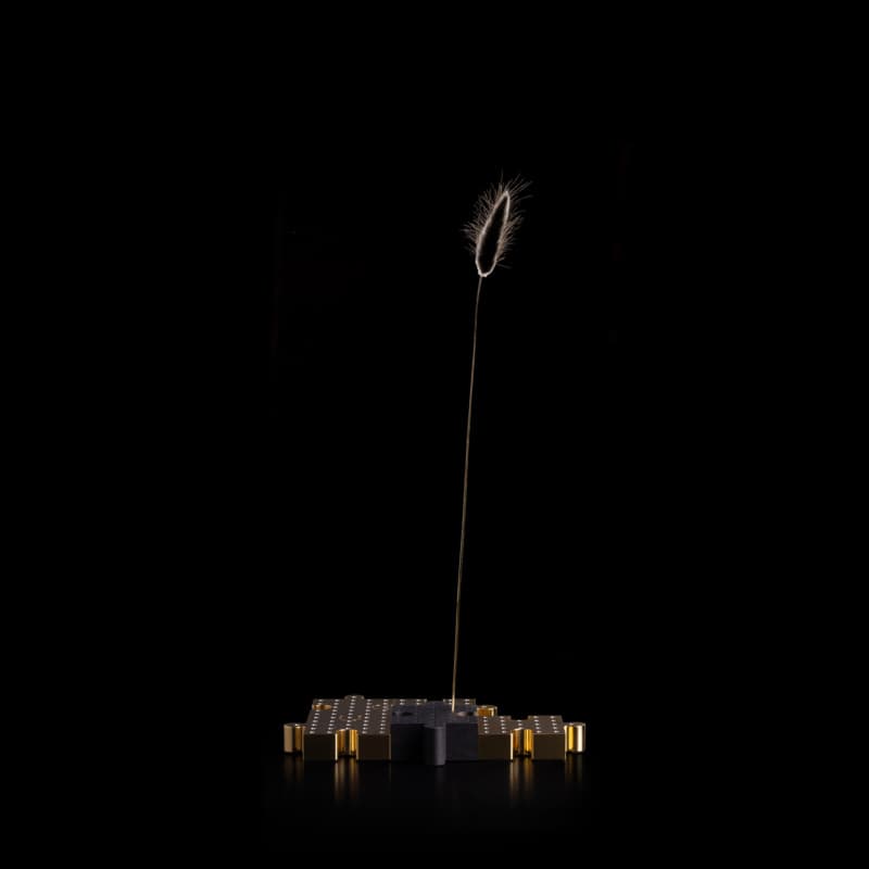 ANAGRAMMA 15 - Image 1