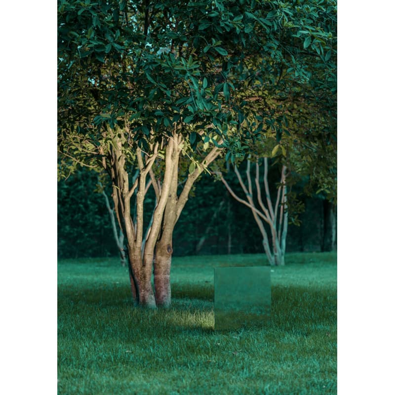 BELLADINOTTE - Image 1