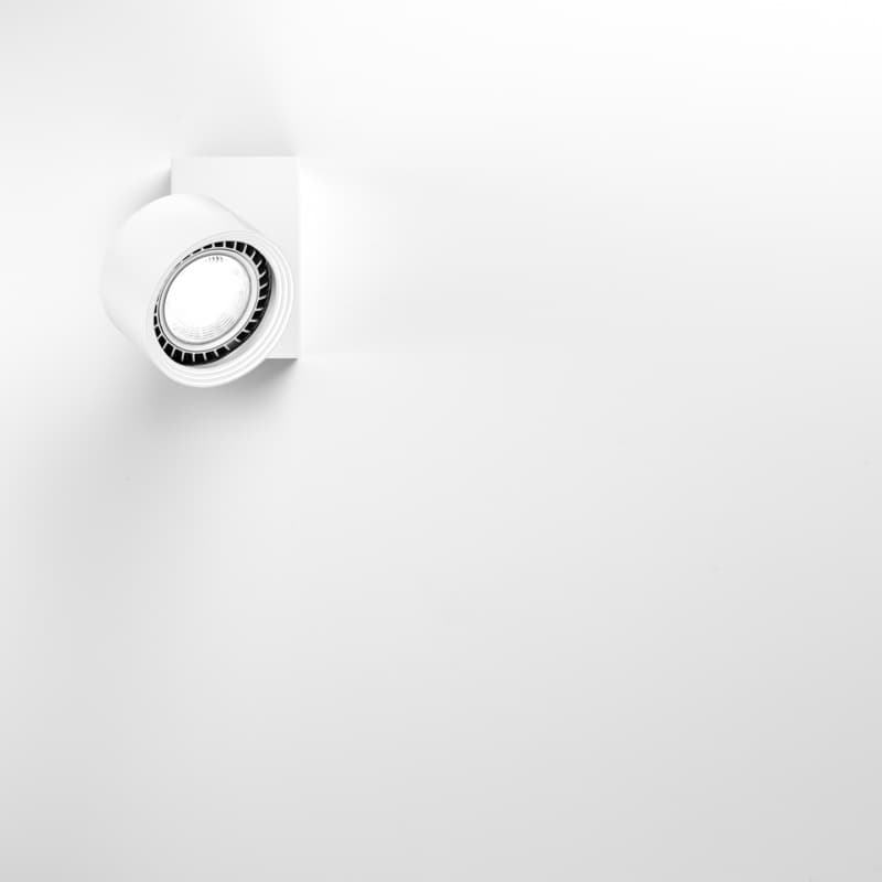 SPOT - Image 1