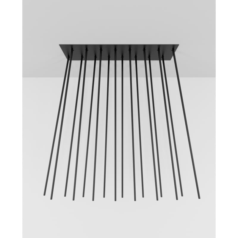 Peled