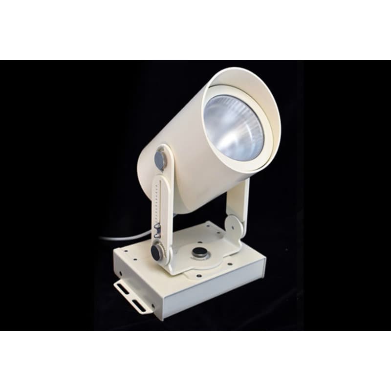 Bespoke Projector PR2.48