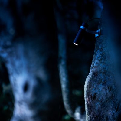 BUIO_SPOT_07@2x-5-1.jpg