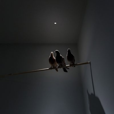 NULLA_04 (1)
