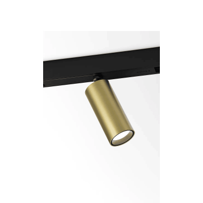 SPY39BGD